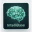 IntelliBase